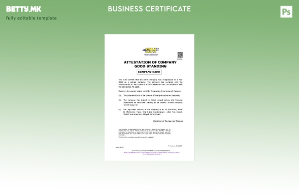 модерен стил Малезија атестирање на компанијата добра состојба Шаблон Word и PDF